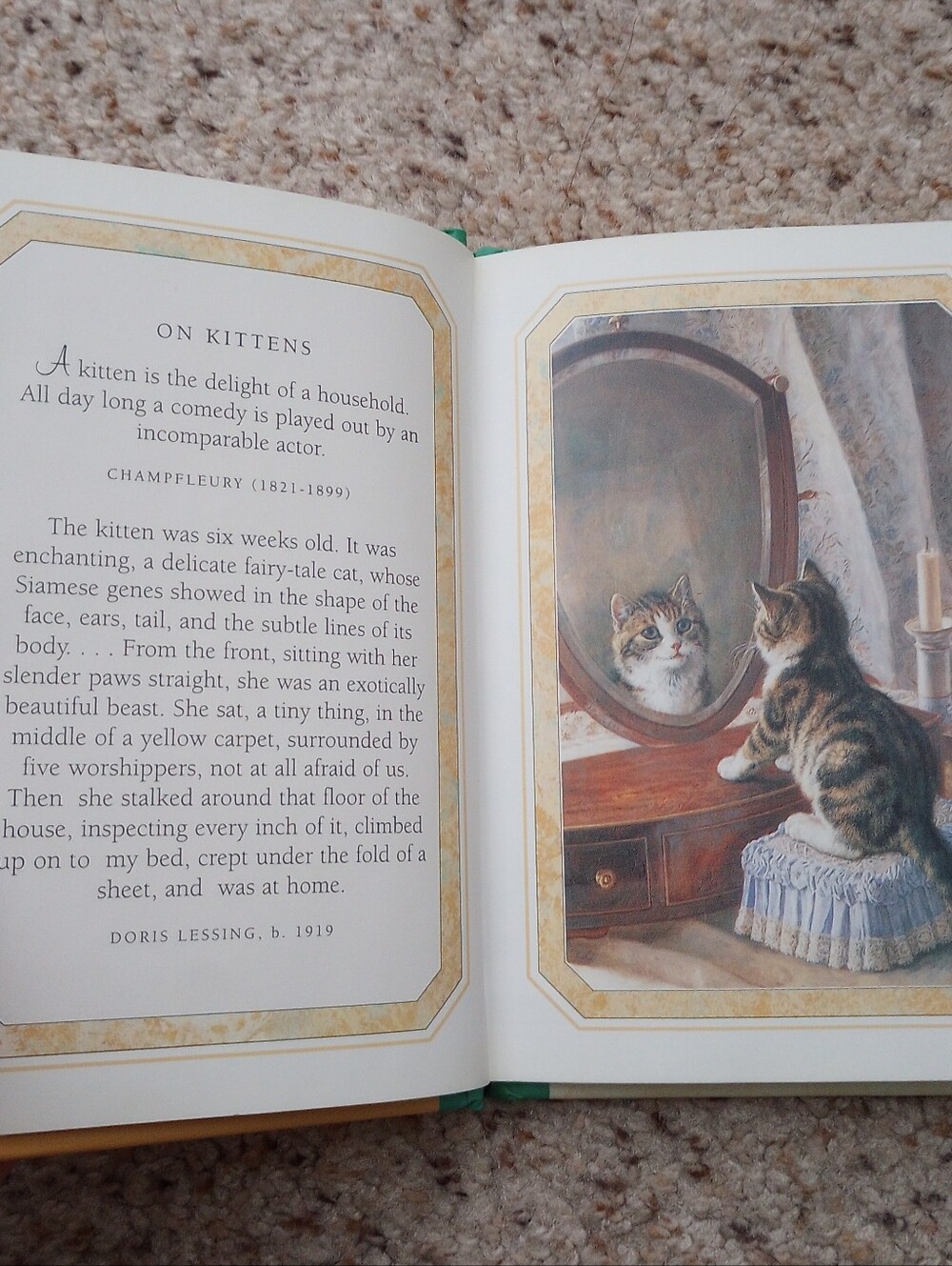 Lot Of Cat Books 5 Total Cats Kittens Cute Pictures Facts - Picture 3 of 13